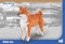BlueBrixx Pro 107578 –Shiba Inu (Diamond Blocks) aus Klemmbausteinen mit 2376 Bauelementen