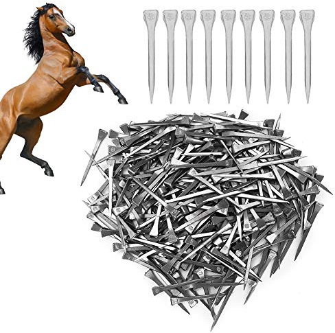 250 Clavos de Herradura E6, Clavos para pezuñas de Caballo, Clavijas de Acero para pezuñas, Suministros de Entrenamiento para Caballos, Herramientas de Herradura para asegurar