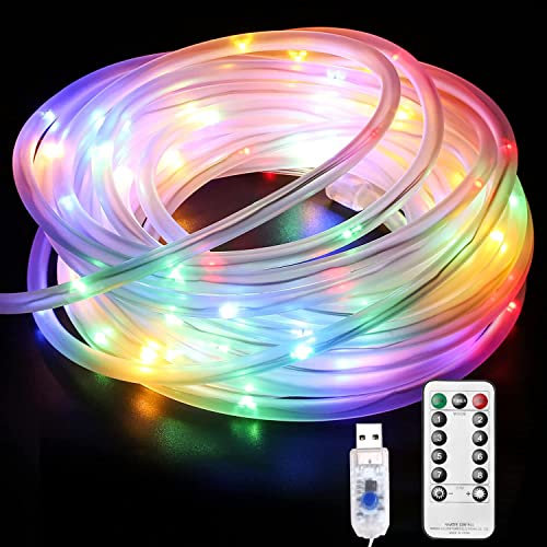 LE 10m Lichtschlauch, 100 LEDs 8 Modi Dimmbar USB Lichterschlauch mit Fernbedienung, IP65 Lichterkette für Innen Außen Party Hochzeit Weihnachten Deko, Mehrfarbig Leuchtschlauch