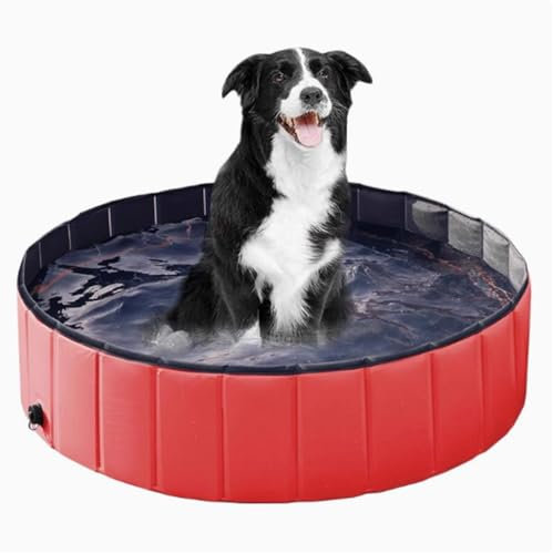 ZHXQRP Piscina para Perros PequeñOs Piscina De PláStico para Mascotas BañEra para Perros PequeñOs BañEra para Perros Piscina Plegable PortáTil para Perros