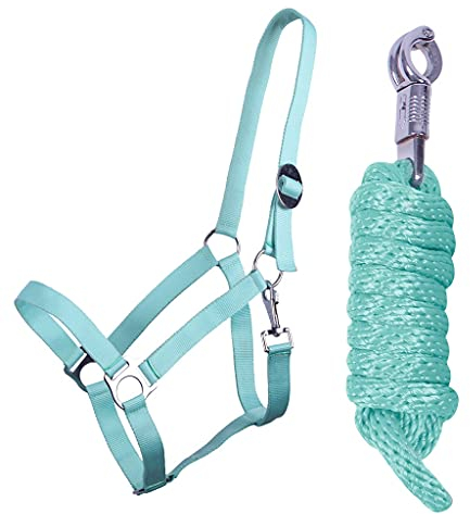 QHP Halfter-Set Beginner II Halfter + Führstrick mit Panikhaken verstellbar (Minishetty, Ice Green)