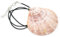 Miniblings Collier véritable Coquille Saint-Jacques Collier Pendentif Blanc Marron