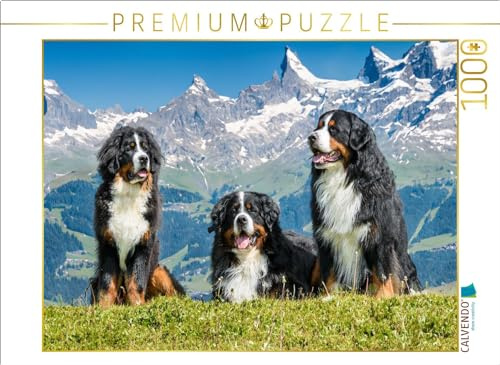 CALVENDO Puzzle Berner Sennenhunde in der Schweiz | 1000 Teile Lege-Größe 64 x 48 cm Foto-Puzzle für glückliche Stunden