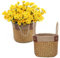 JNRFTY 2er Set Seegras Korb Blumentopf Naturkorb Pflanzenkorb mit Griff,altbarer Seegras-Korb übertopf Korb für Zimmerpflanzen 20cm und 22cm Durchmesser