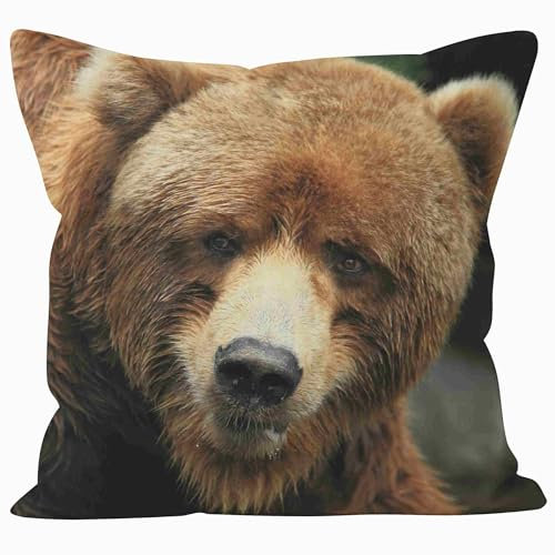 Nimvoya Lin Tapis de Souris Manga Tapis Souris 3D Anime 45x45cm, Ours Tapis de Souris L Tapis Souris One Piece Décoration de Canapé de Salon 1Pcs