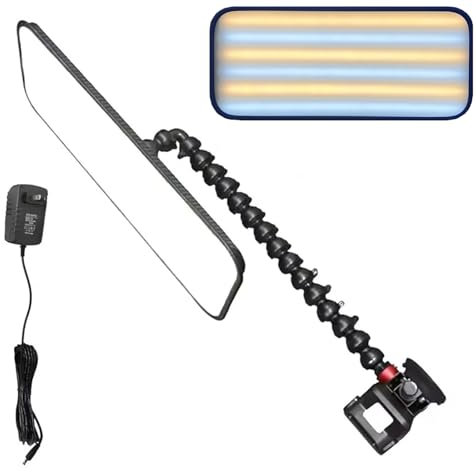 50 x 20 cm großes Leuchtfeld, optionales PDR-Licht für Autobeulen, elektrische Saugnäpfe optional, zwei 6000-mAh-Akkus und eine Schnellladestation, Werkzeug zur lackfreien Dellenreparatur (Größe: oh