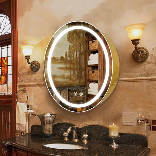 Janboe 66cm Round Mirror Cabinet with Lights,with Defogger,Dimmable,Anti-Fog,3 Colors,Gold