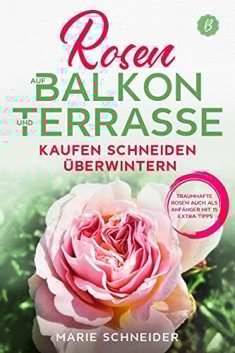 Rosen auf Balkon und Terrasse - Kaufen Schneiden Überwintern: Traumhafte Rosen auch als Anfänger mit 15 Extra-Tipps