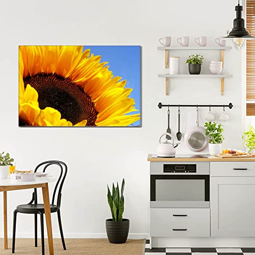 banjado® Glas Bild 75x50cm mit Motiv Sonnenblume als Wandbild für Wohnzimmer/Küche/Büro - Wohnzimmer Bild aus ESG Sicherheitsglas kratzfest mit geschliffenen Kanten - Glasbild groß als Wand Bild