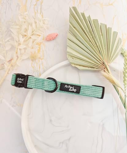 SAGE GREEN CORD DOG COLLAR S