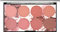 Blush palette blush crema tavolozza in polvere arrossamento in polvere con 8 42g