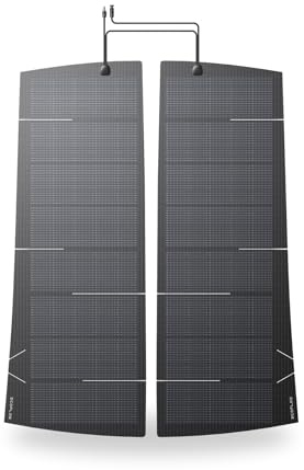 ECOFLOW HeatGuard Solarpanel 290 W, N-Typ Zellen mit 25% Wirkungsgrad, über 10 °C Wärmedämmung, bis zu 1,5 kWh Ertrag pro Tag, IP68 Wasserdichtigkeit, 2 × 128 W Solarfolie für Model Y