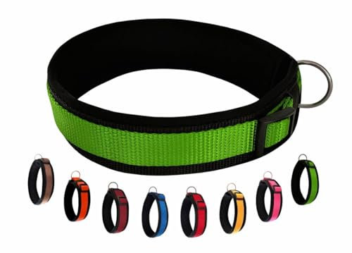 BUDDYPACK-Halsband Extra-Breit & Weich mit Neopren-Polster für Kleine und Große Hunde (Grün auf Schwarz, M/L)