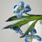 5 Pcs Tulpenzwiebeln Kaufen - Tulipa Gesneriana - Tulpen Zwiebeln, Frühlingsblumen Zwiebeln, Zimmerbonsai Bonsai Tulpenzwiebel, Blumenzwiebeln Tulpen, Blumen Winterhart, Bienenfreund