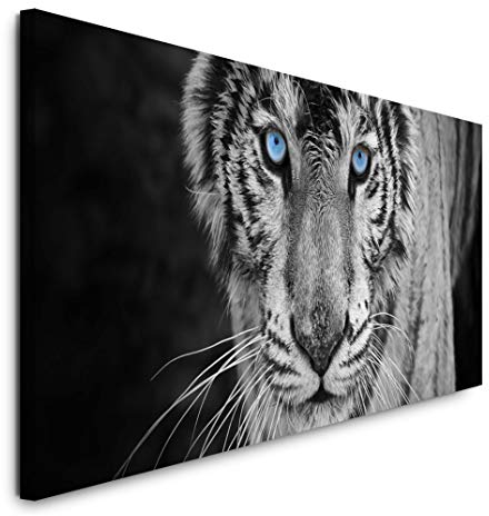Paul Sinus Art GmbH Weißer Tiger 120x 50cm Panorama Leinwand Bild XXL Format Wandbilder Wohnzimmer Wohnung Deko Kunstdrucke