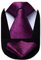 HISDERN Herren Krawatte Taschentuch Paisley Krawatte & Einstecktuch Set Blumen Jacquard Gewebt Schlips Einfarbig (Lila)