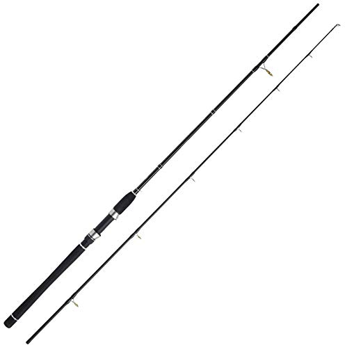 WFT Sea Dart Dorsch Jigger 2,20m 40-160g