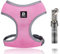 Dociote Hundegeschirr Set mit Leine - Brustgeschirr Welpengeschirr Set mit Leine & Reflektorstreifen verstellbares Geschirr für Welpen kleine Hunde Katzen Rosa XS