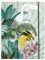Clairefontaine 115777C - Jungle harmony, Sammelmappe mit Gummizug und 3 Klappen, DIN A4+, 24 x 32 cm, 1 Stück