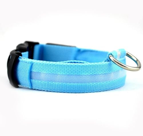 Led dog collar USB Rechargeable & Waterproof with 3 Flashing Modes, super bright (M, TURQUOISE)