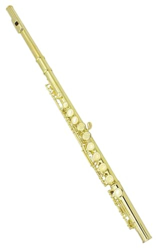 16 Geschlossene, Offene Löcher, C-Taste, Querflöte, Konzertinstrument Mit Zubehör Für Studenten Querflöte für Anfänger (Color : Gold)
