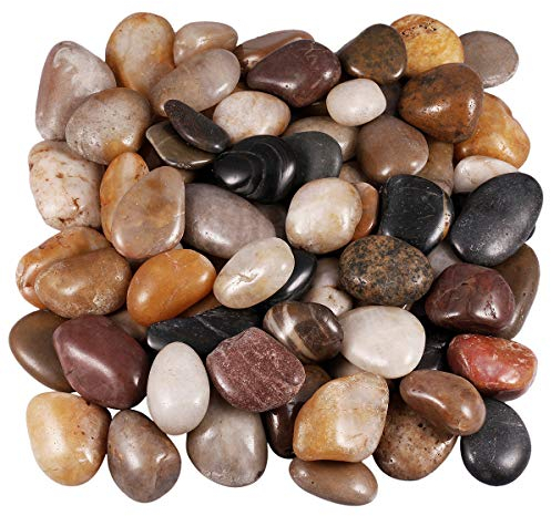 KYEYGWO Aquarium Natural Pebbles River Stones, Decorative Stones and Gravel or Garden Vase Plant Pots Fish Tank 1 Pound