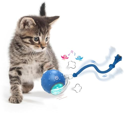 KQLHLHDYZ Interactive Cat Toy - Smart Motion Sensor Ball for Indoor Cats (Blue)