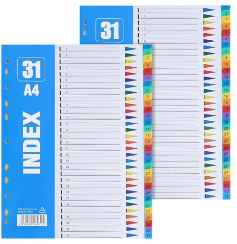NINGYER 2 Stück Trennblätter für Ordner A4, 30 x 22.5cm Register Ordner A4, 31-Teilige Register Farbig, Trennblätter für Ordners A4s Plastik Geeignet für Zuhause, Schule und Büro