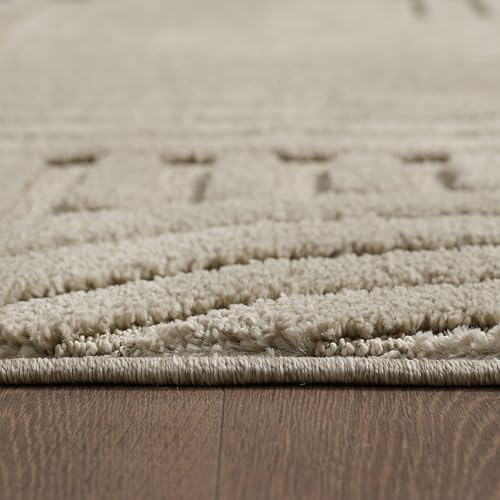 KADIMA DESIGN Wohnzimmerteppich 3D Skandinavischer Boho Extra Weich Flauschig Waschbar Belastbar Strapazierfähig Beige 60x110 cm Wohnzimmer Flur Oeko-TEX Zertifiziert | RIGI