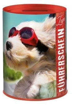 Perleberg 210051 Spardose Metall Führerschein Zum Führerschein 7,5 x 10 cm Büchse