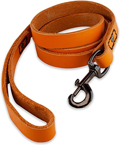 Leder Hundeleine - mit Naht - 180cm - Orange/schwarz