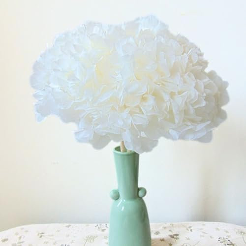 Hortensia stabilisé Naturel et préservé Blanc Ivoire Gros Hortensia Grande Taille 25 cm de Diamètre- Vrai Fleurs Naturelle séchée et préservée - Bouquet éternel (Blanc)