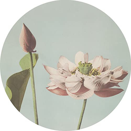 papier peint panoramique rond adhésif fleur de lotus vieux rose et bleu gris Ø 70 cm - ESTAhome