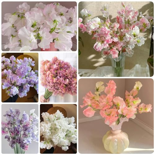 150 Pcs Wicken Samen Mehrjährig, Edelwicken Edelwicke, Wildblumensamen Nachhaltige Geschenke Für Frauen Duftwicke - Lathyrus Odoratus - Samen Winterhart, Blumensamen Gastgeschenk Kleine