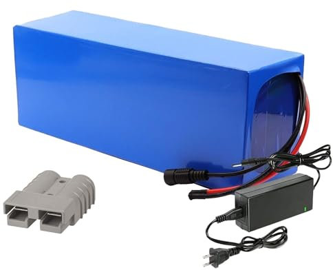 SDAJS 72 V 60 Ah Lithiumbatterie, wiederaufladbarer, anpassbarer Akku, Lithium-Akkupack mit Ladegerät und BMS, Anderson-Stecker, für 1000 W bis 5600 W Motor