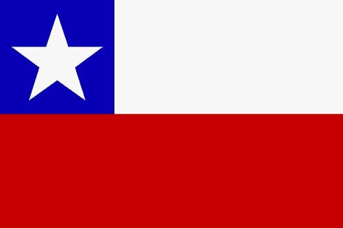 Chile Flagge/Fahne 30x45 cm