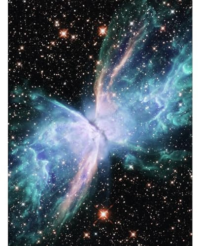 Artery8 Hubble Space Telescope Image NGC 6302 The Butterfly Nebula Luminous Blue Bipolar Planetary Galaxy Wings of Gas Extra Large XL Wall Art Poster Print