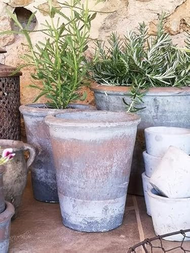 Long Tom Rustic Aged Weathered Effect Grey Terracotta Planter, Tall Vintage Herb & Succulent Pot, Flower Garden Pot