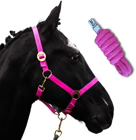 Halfter für Pferde mit Strick | Führstrick Pferd mit Halfter | Halfter Shetty, Pony, Vollblut, Full, X-Full mit Strick (Pink, Warmblut)