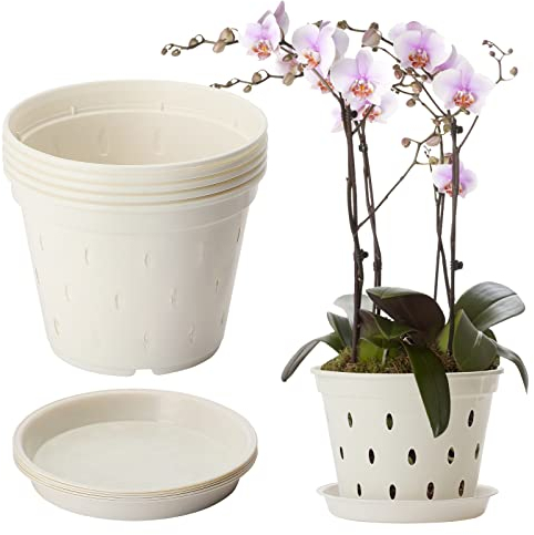 BestAlice 5 Pack Orchid Pots, 5.6 Inch with Holes and Saucers, Clear Plastic for Plant and Repotting, Garden Planters for Home Office
