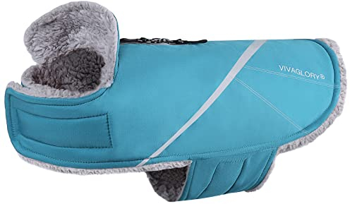 VIVAGLORY Hundemäntel für Kaltes Wetter, Gemütlich Wasserabweisend Winddicht Hundeweste, Warme Haustierbekleidung für Winter-Hundejacke für Kleine Mittel Hunde mit Pelzkragen, Türkis, M