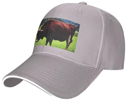 YHBLYKXP Echte Schweizer Kuh Braun Print Sandwich Baseball Cap Klassische Baseballkappe Verstellbare Mode Outdoor Cap, Grau, Einheitsgr��e