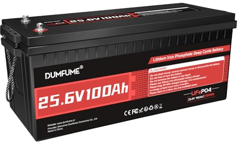 Dumfume 2 Stück LiFePO4 24V 100Ah Lithium Batterie für Wohnmobil | Eingebautes 100A BMS, 2560W Leistung, bis zu 15000 Zyklen, Ideal für Wohnmobil, Camping und Solar Off-Grid Systeme