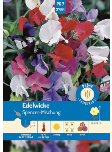 Pabst Keimkraft - Edelwicke Spencer-Mischung Samen - 173780