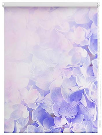 Lichtblick Klemmfix Tageslicht-Rollo mit Motiv, ohne Bohren, Blickdicht, Seitenzugrollo, Made in Germany, Hortensie - Lila 100 x 150 cm (B x L)
