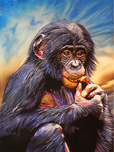 Peinture par numéro Peindre par Nombre Animaux Singe Kits Peinture À l'huile pour Adultes Peinture sur Toile DIY Cadeau Décor À La Maison 40x50cm