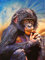 Peinture par numéro Peindre par Nombre Animaux Singe Kits Peinture À l'huile pour Adultes Peinture sur Toile DIY Cadeau Décor À La Maison 40x50cm