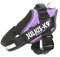 Julius-K9 IDC Powerharness Hundegeschirr mit 2 Patches, Violett, Größe 1