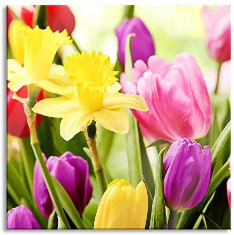 Pixxprint Glasbild, Wandbild auf Echtglas, Osterglocken und Tulpen, 60x60 cm, inkl. Aufhängung und Abstandshalter
