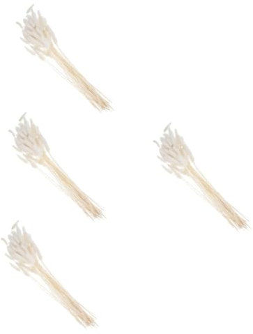 Cabilock 4 Bündel Stck Natürliche Für Foto Lings Momente Blumen Eiffel Hasen Getrockneter Fuchsschwanz Heimdekoration Kaninchenschwanz Kunstrasen Gefälschte Pflanzen Boho-Blumen Heu